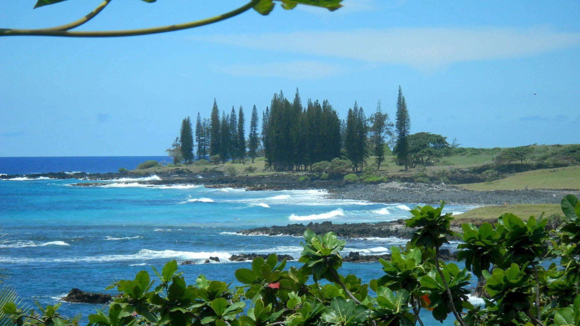 Hana Oceanfront Cottages エクステリア 写真